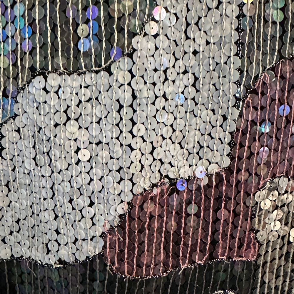 Sequin Patterned Top - Picture 4 of 6